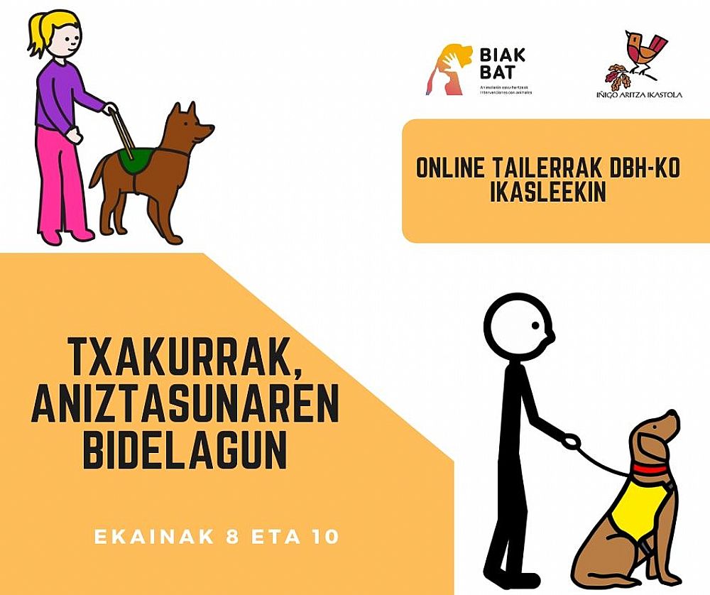 DBHn TAILER BIRTUALAK